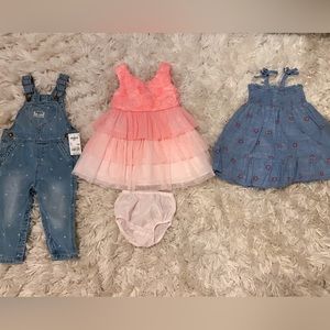 10 Item Lot of 18-24 mo old Girl Clothing (Spring/Summer)